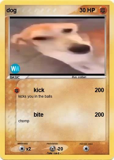 Pokemon dog