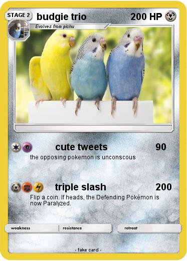 Pokemon budgie trio