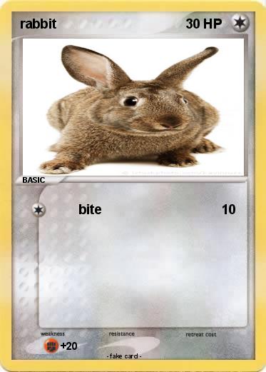 Pokemon rabbit
