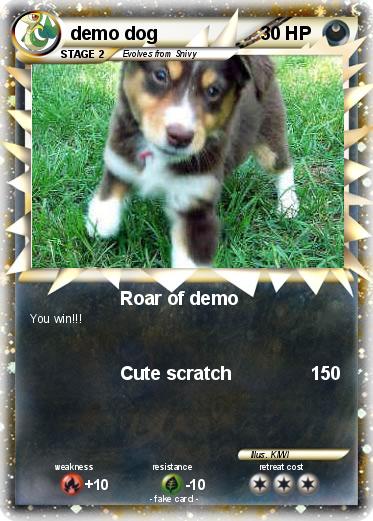 Pokemon demo dog