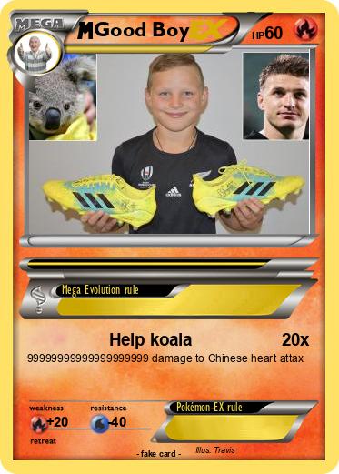 Pokemon Good Boy