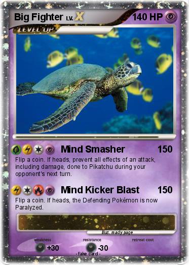 Pokemon Big Fighter