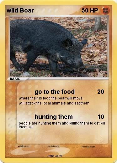Pokemon wild Boar