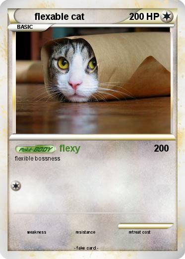 Pokemon flexable cat