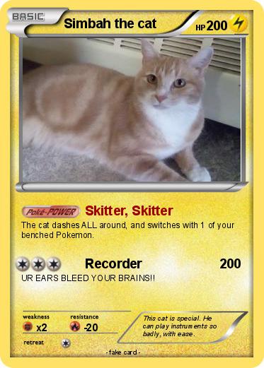 Pokemon Simbah the cat