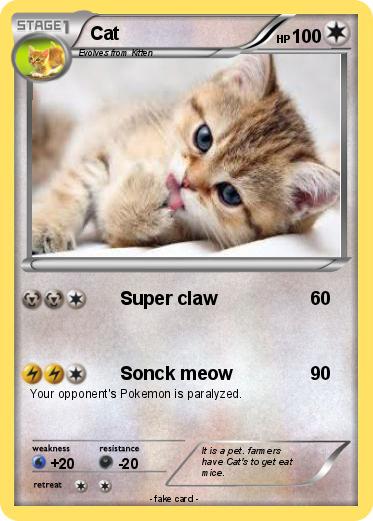 Pokemon Cat