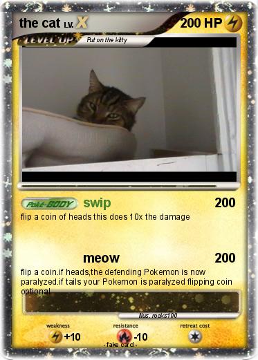 Pokemon the cat