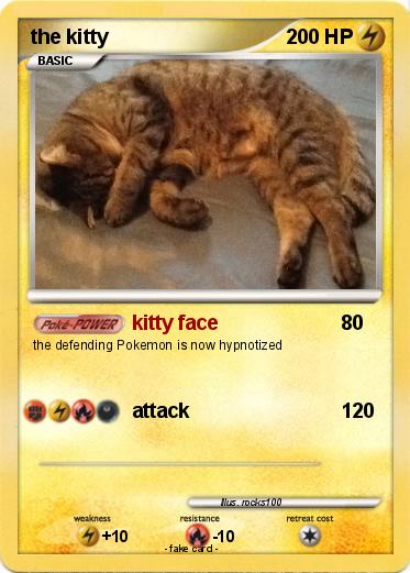 Pokemon the kitty