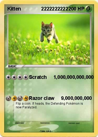 Pokemon Kitten               2222222222