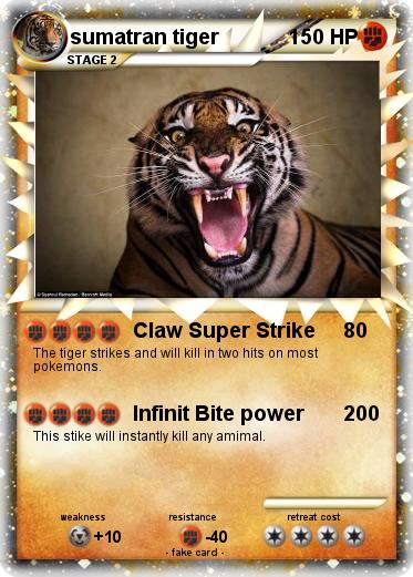 Pokemon sumatran tiger