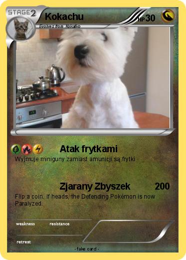 Pokemon Kokachu