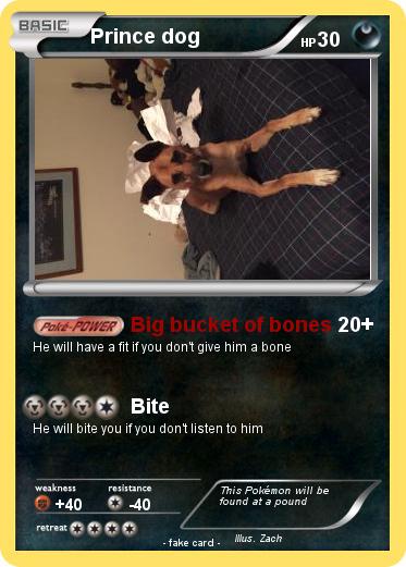 Pokemon Prince dog