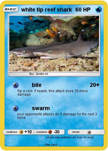 Pokemon white tip reef shark