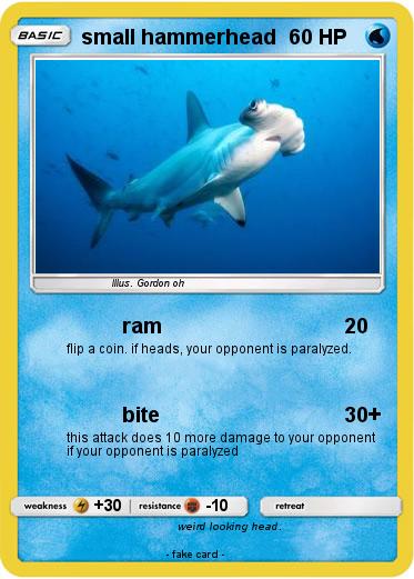 Pokemon small hammerhead