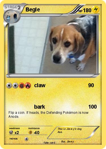 Pokemon Begle