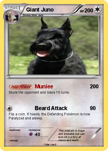 Pokemon Giant Juno