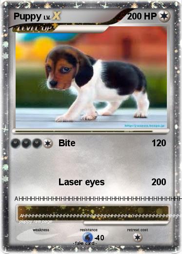 Pokemon Puppy