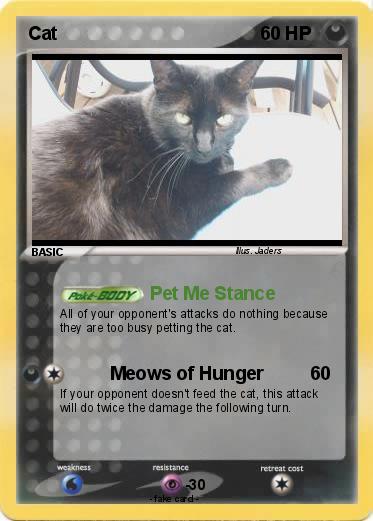 Pokemon Cat