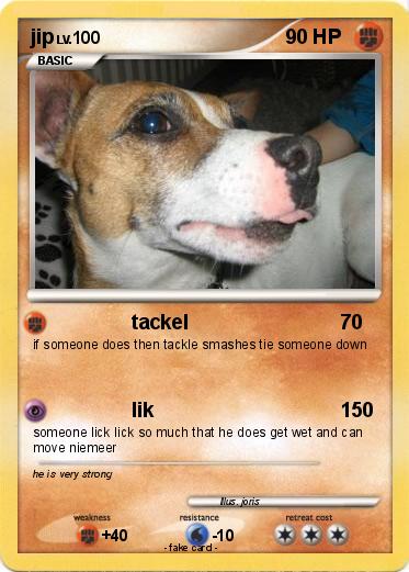 Pokemon jip
