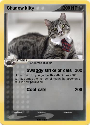 Pokemon Shadow kitty