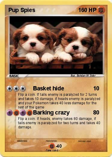 Pokemon Pup Spies