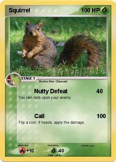 Pokemon Squirrel