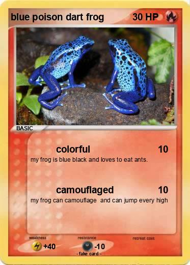 Pokemon blue poison dart frog