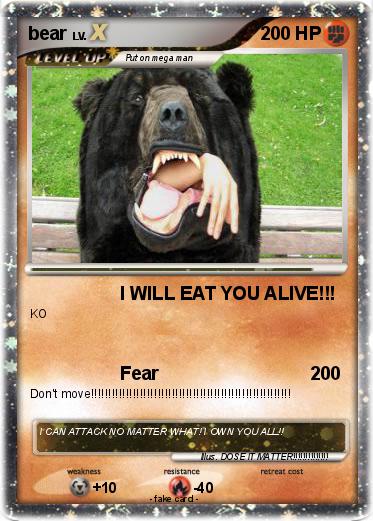 Pokemon bear