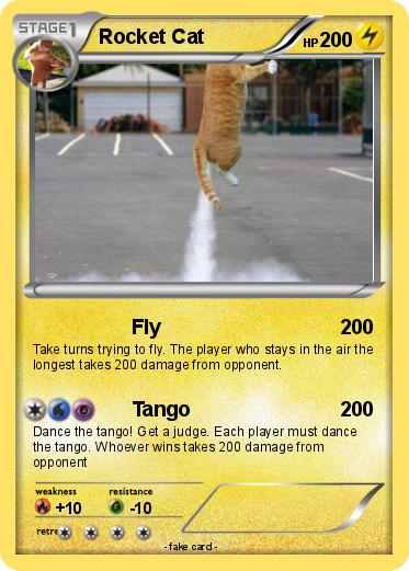Pokemon Rocket Cat