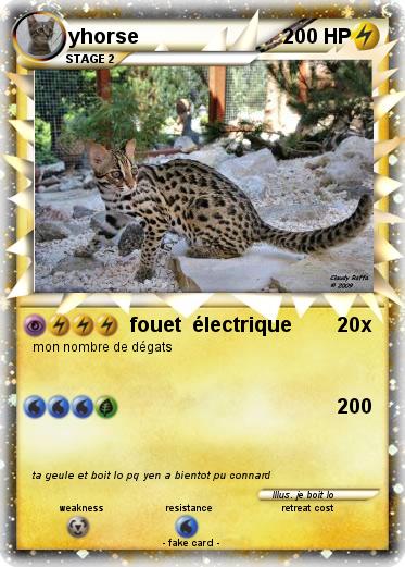 Pokemon yhorse