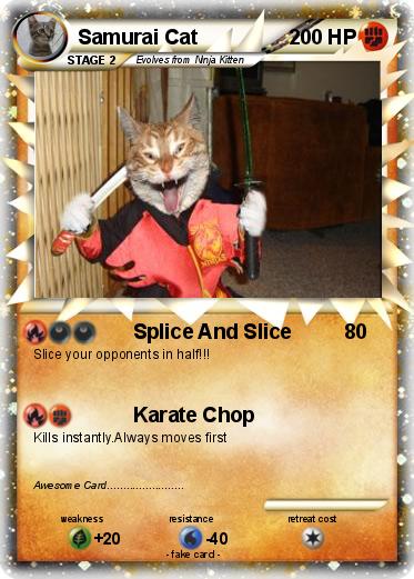 Pokemon Samurai Cat
