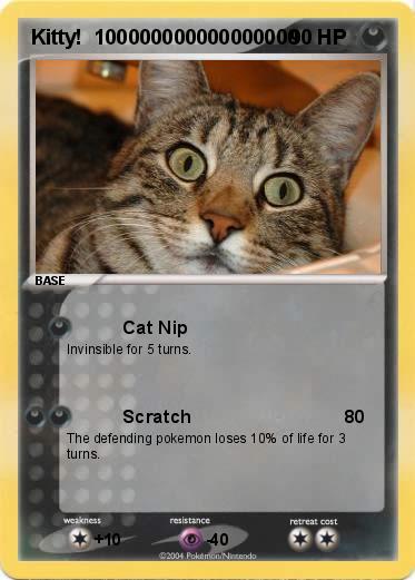 Pokemon Kitty!  100000000000000000