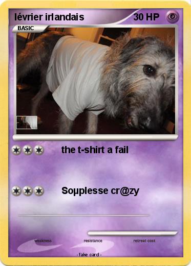 Pokemon lévrier irlandais