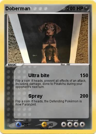 Pokemon Doberman