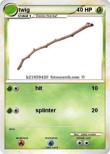 Pokemon twig