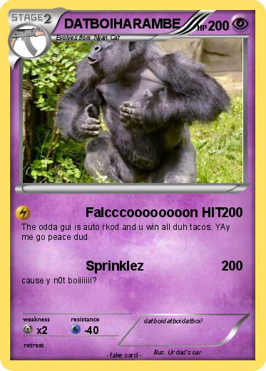 Pokemon DATBOIHARAMBE