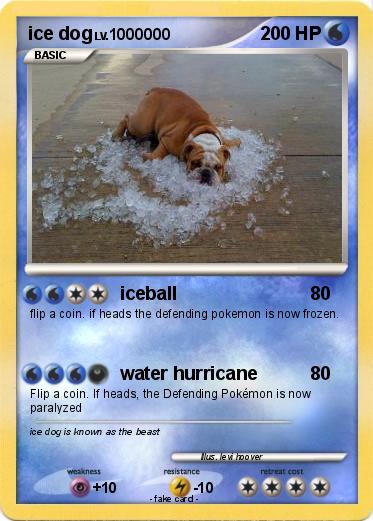Pokemon ice dog Pokemon ice dog