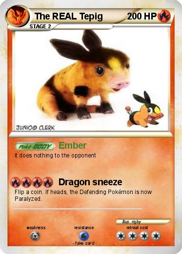 Pokemon The REAL Tepig