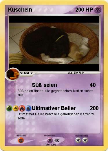 Pokemon Kuscheln