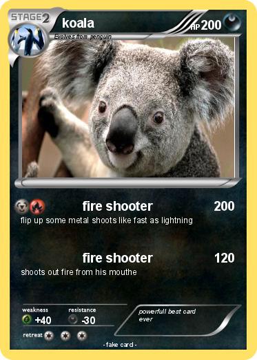 Pokemon koala