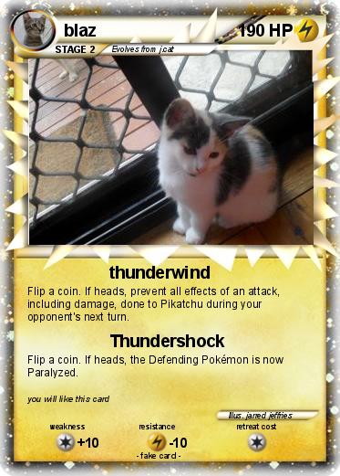 Pokemon blaz