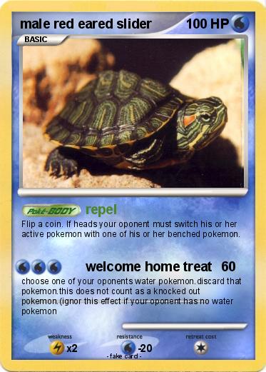 Pokemon male red eared slider