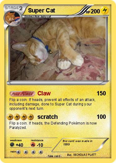 Pokemon Super Cat