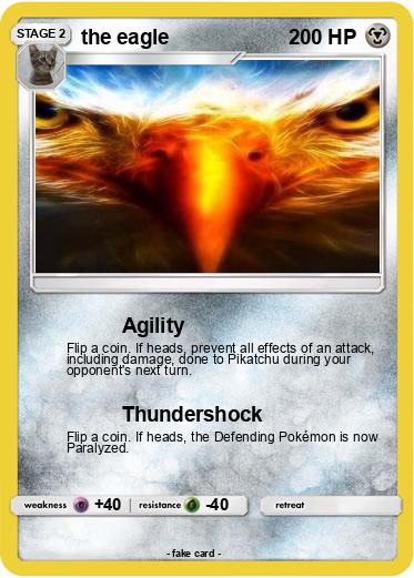 Pokemon the eagle
