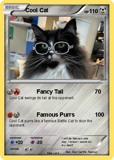 Pokemon Cool Cat