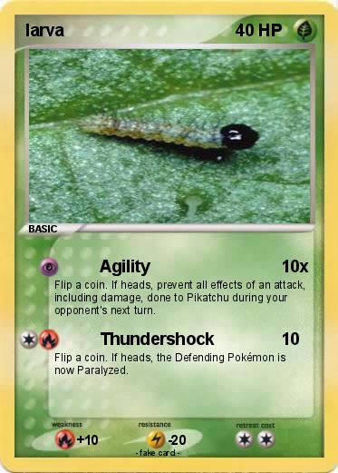 Pokemon larva