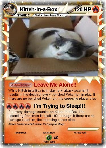 Pokemon Kitteh-in-a-Box