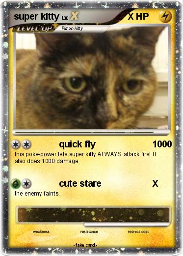 Pokemon super kitty