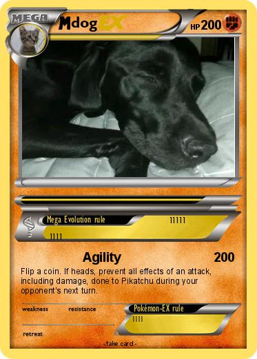 Pokemon dog