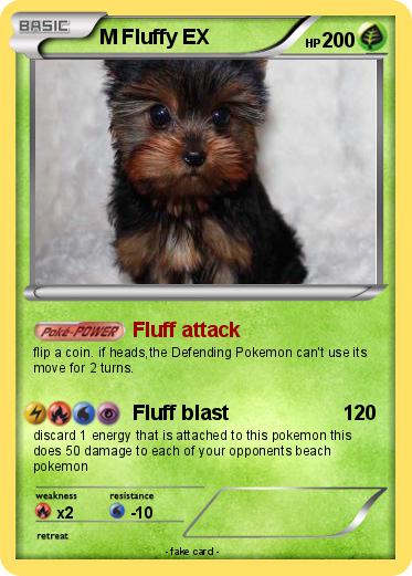 Pokemon M Fluffy EX